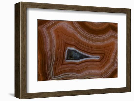 Banded Agate, Sammamish, Washington State-Darrell Gulin-Framed Photographic Print