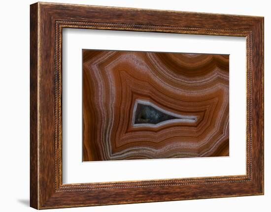 Banded Agate, Sammamish, Washington State-Darrell Gulin-Framed Photographic Print