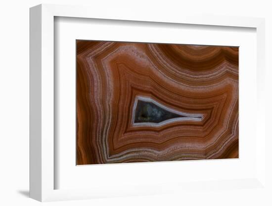 Banded Agate, Sammamish, Washington State-Darrell Gulin-Framed Photographic Print