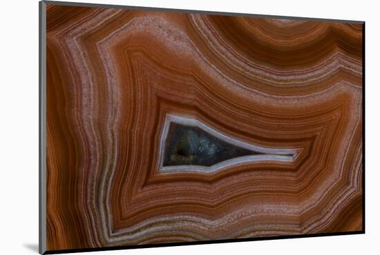 Banded Agate, Sammamish, Washington State-Darrell Gulin-Mounted Photographic Print