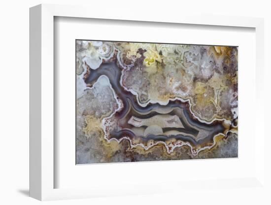 Banded Agate, Sammamish, Washington State-Darrell Gulin-Framed Premium Photographic Print