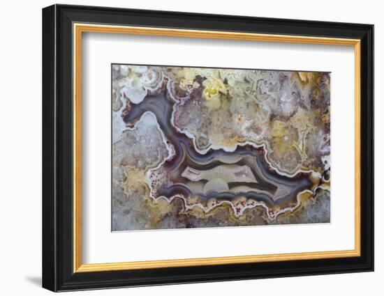 Banded Agate, Sammamish, Washington State-Darrell Gulin-Framed Premium Photographic Print