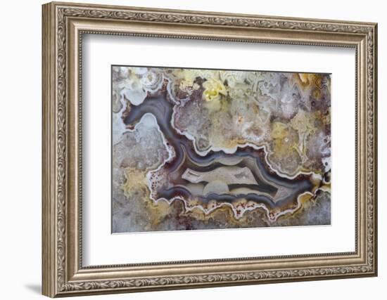 Banded Agate, Sammamish, Washington State-Darrell Gulin-Framed Photographic Print