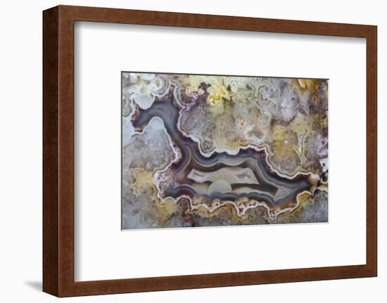 Banded Agate, Sammamish, Washington State-Darrell Gulin-Framed Photographic Print