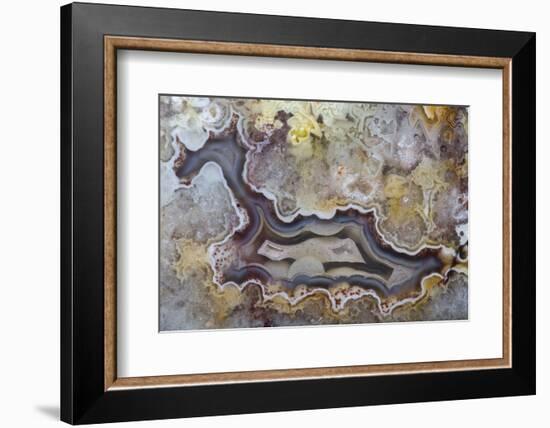 Banded Agate, Sammamish, Washington State-Darrell Gulin-Framed Photographic Print