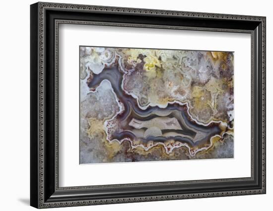 Banded Agate, Sammamish, Washington State-Darrell Gulin-Framed Photographic Print