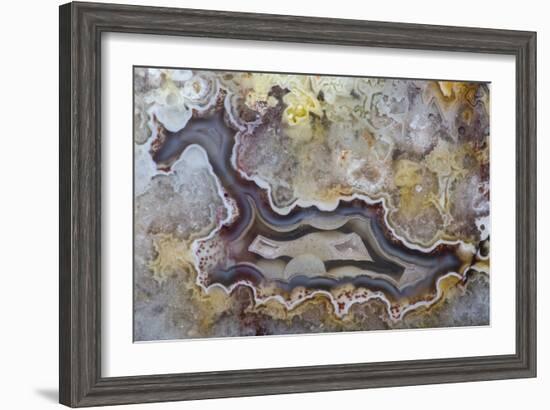 Banded Agate, Sammamish, Washington State-Darrell Gulin-Framed Photographic Print