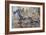 Banded Agate, Sammamish, Washington State-Darrell Gulin-Framed Photographic Print