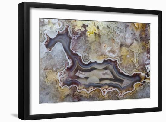 Banded Agate, Sammamish, Washington State-Darrell Gulin-Framed Photographic Print