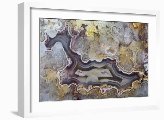 Banded Agate, Sammamish, Washington State-Darrell Gulin-Framed Photographic Print