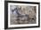 Banded Agate, Sammamish, Washington State-Darrell Gulin-Framed Photographic Print