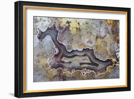 Banded Agate, Sammamish, Washington State-Darrell Gulin-Framed Photographic Print