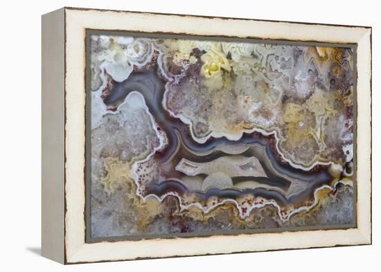 Banded Agate, Sammamish, Washington State-Darrell Gulin-Framed Premier Image Canvas