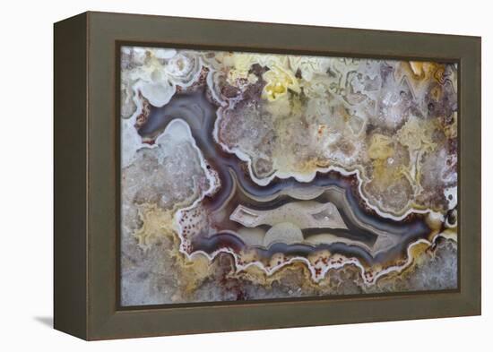 Banded Agate, Sammamish, Washington State-Darrell Gulin-Framed Premier Image Canvas