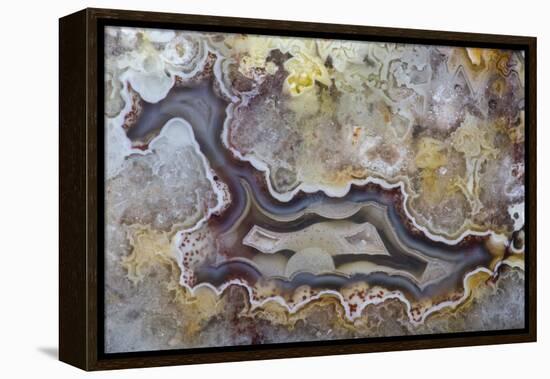 Banded Agate, Sammamish, Washington State-Darrell Gulin-Framed Premier Image Canvas