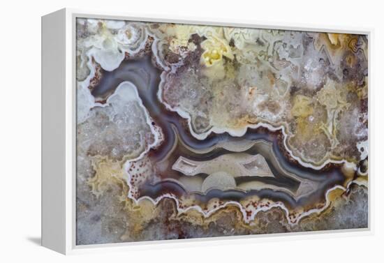 Banded Agate, Sammamish, Washington State-Darrell Gulin-Framed Premier Image Canvas