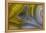 Banded Agate, Sammamish, Washington State-Darrell Gulin-Framed Premier Image Canvas