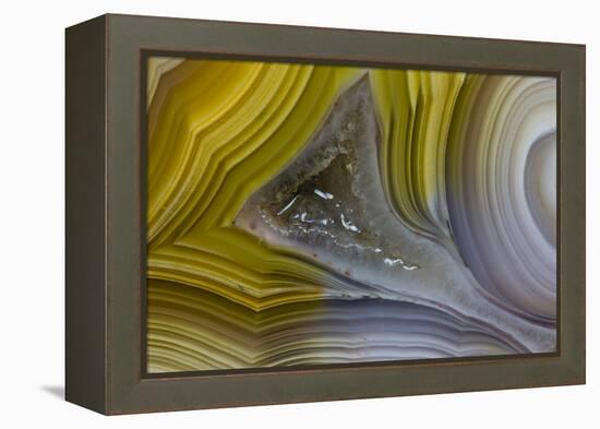 Banded Agate, Sammamish, Washington State-Darrell Gulin-Framed Premier Image Canvas