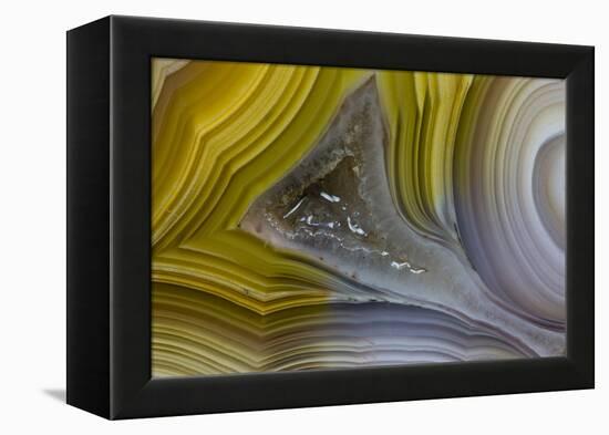 Banded Agate, Sammamish, Washington State-Darrell Gulin-Framed Premier Image Canvas