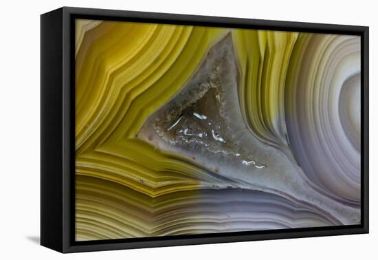 Banded Agate, Sammamish, Washington State-Darrell Gulin-Framed Premier Image Canvas