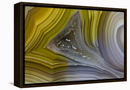 Banded Agate, Sammamish, Washington State-Darrell Gulin-Framed Premier Image Canvas