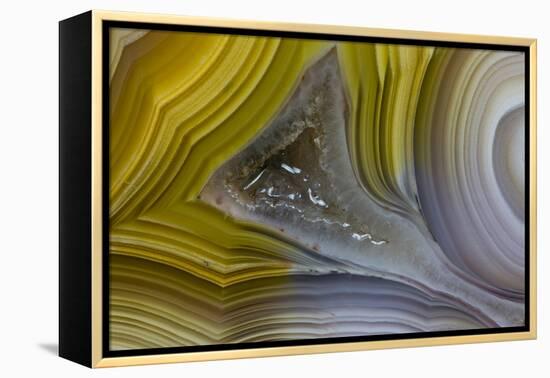 Banded Agate, Sammamish, Washington State-Darrell Gulin-Framed Premier Image Canvas