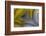 Banded Agate, Sammamish, Washington State-Darrell Gulin-Framed Photographic Print