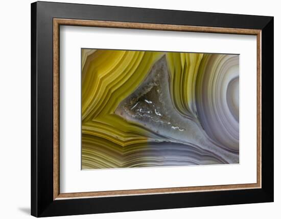 Banded Agate, Sammamish, Washington State-Darrell Gulin-Framed Photographic Print