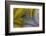 Banded Agate, Sammamish, Washington State-Darrell Gulin-Framed Photographic Print