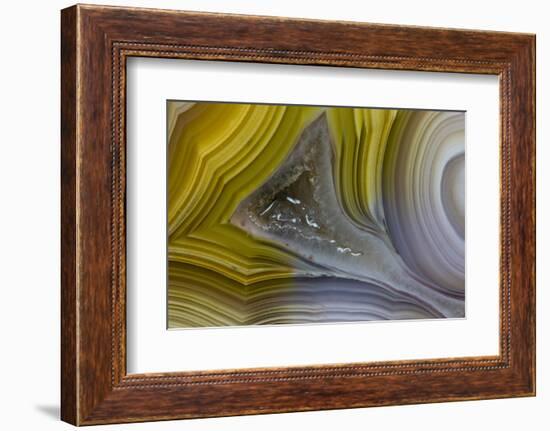 Banded Agate, Sammamish, Washington State-Darrell Gulin-Framed Premium Photographic Print