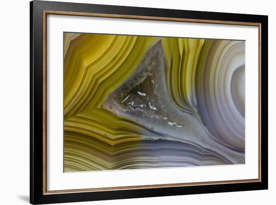 Banded Agate, Sammamish, Washington State-Darrell Gulin-Framed Photographic Print