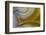 Banded Agate, Sammamish, Washington State-Darrell Gulin-Framed Photographic Print