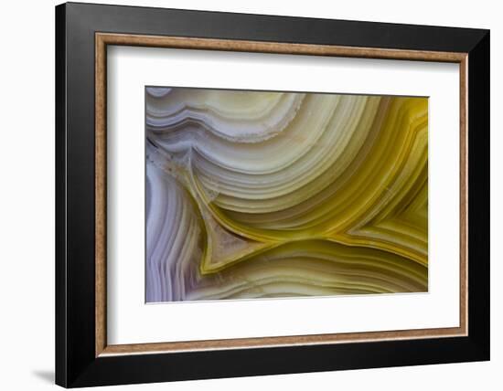 Banded Agate, Sammamish, Washington State-Darrell Gulin-Framed Photographic Print