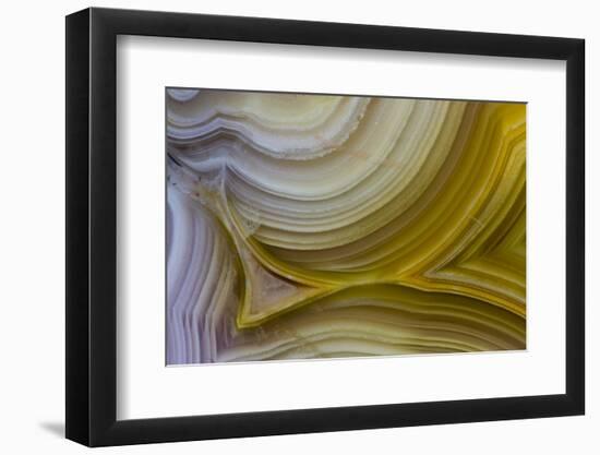 Banded Agate, Sammamish, Washington State-Darrell Gulin-Framed Photographic Print