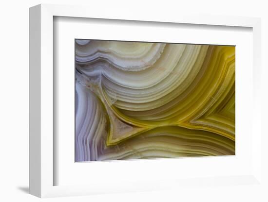 Banded Agate, Sammamish, Washington State-Darrell Gulin-Framed Photographic Print