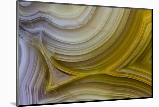 Banded Agate, Sammamish, Washington State-Darrell Gulin-Mounted Photographic Print