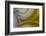 Banded Agate, Sammamish, Washington State-Darrell Gulin-Framed Photographic Print