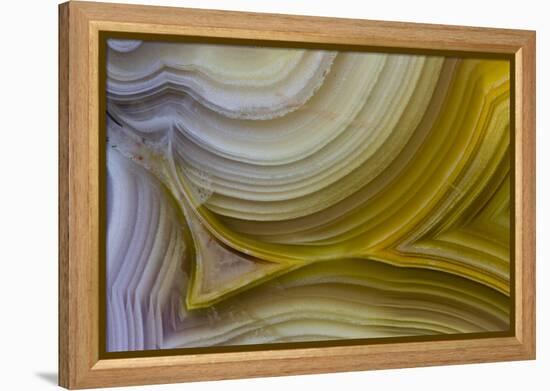 Banded Agate, Sammamish, Washington State-Darrell Gulin-Framed Premier Image Canvas