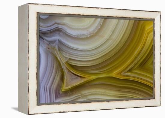 Banded Agate, Sammamish, Washington State-Darrell Gulin-Framed Premier Image Canvas