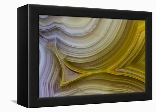 Banded Agate, Sammamish, Washington State-Darrell Gulin-Framed Premier Image Canvas