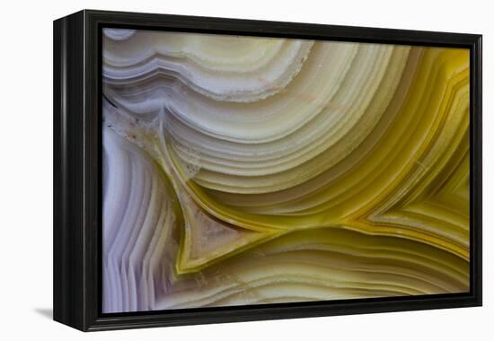 Banded Agate, Sammamish, Washington State-Darrell Gulin-Framed Premier Image Canvas