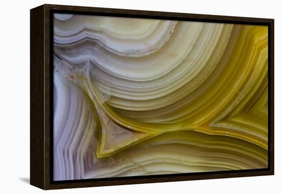 Banded Agate, Sammamish, Washington State-Darrell Gulin-Framed Premier Image Canvas