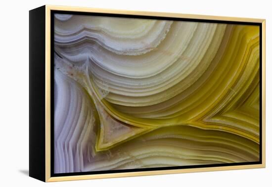 Banded Agate, Sammamish, Washington State-Darrell Gulin-Framed Premier Image Canvas