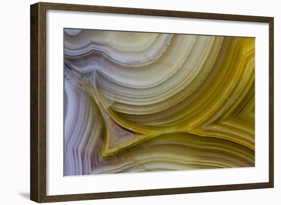 Banded Agate, Sammamish, Washington State-Darrell Gulin-Framed Photographic Print