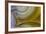 Banded Agate, Sammamish, Washington State-Darrell Gulin-Framed Photographic Print