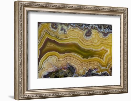 Banded Agate, Sammamish, Washington State-Darrell Gulin-Framed Photographic Print