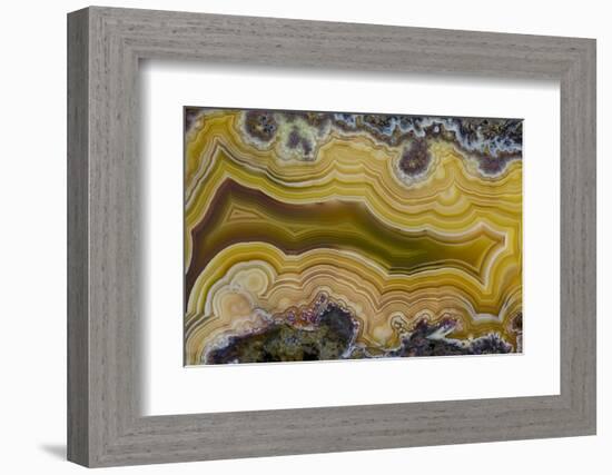 Banded Agate, Sammamish, Washington State-Darrell Gulin-Framed Photographic Print