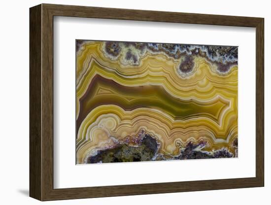 Banded Agate, Sammamish, Washington State-Darrell Gulin-Framed Photographic Print