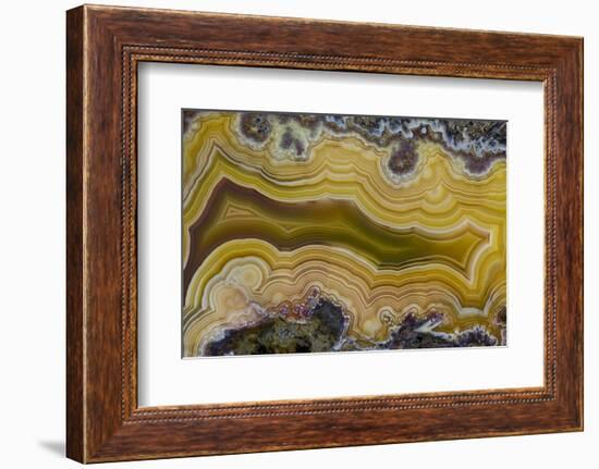 Banded Agate, Sammamish, Washington State-Darrell Gulin-Framed Photographic Print