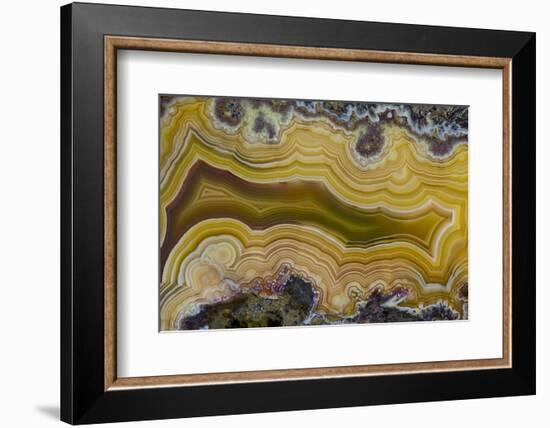 Banded Agate, Sammamish, Washington State-Darrell Gulin-Framed Photographic Print